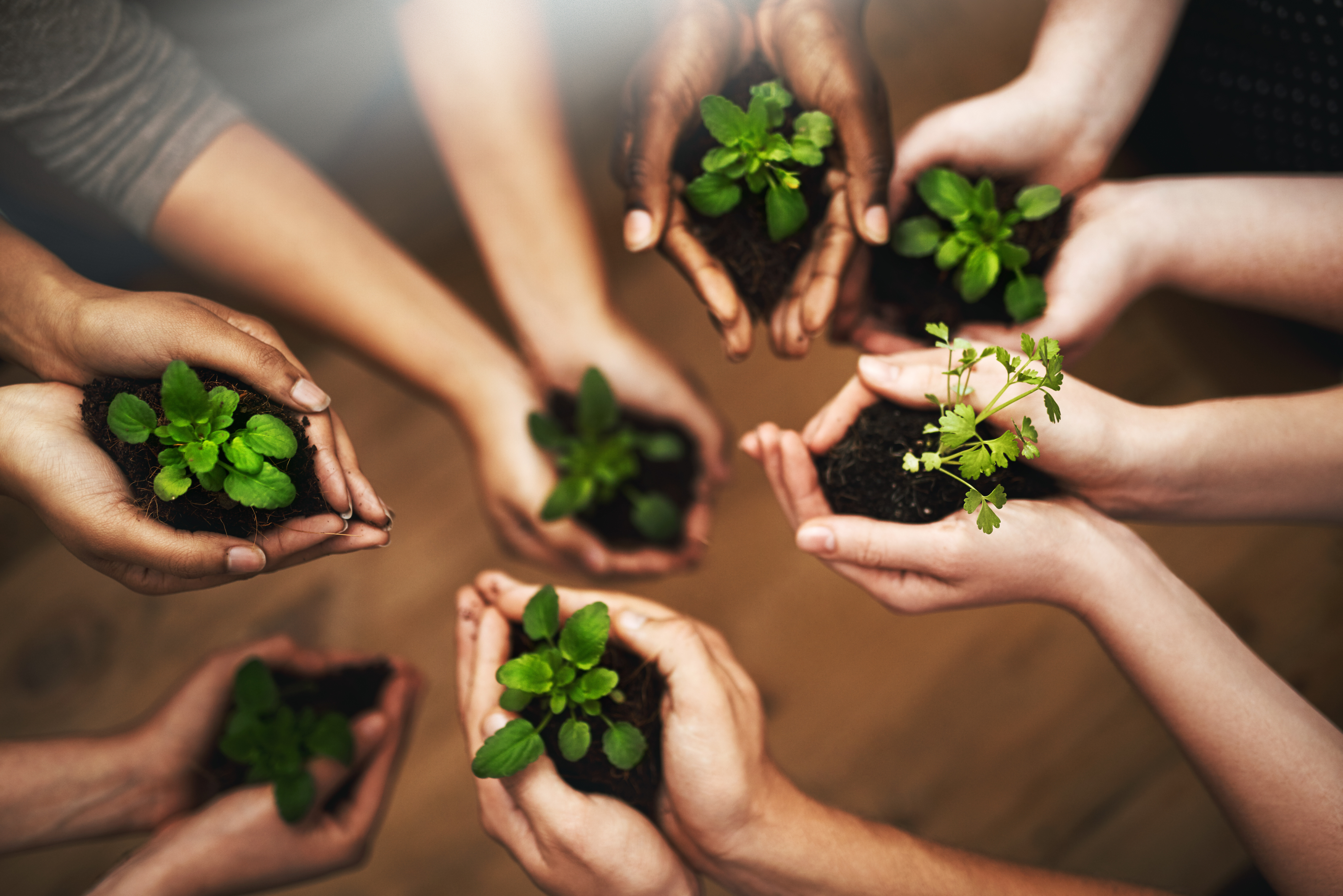 Corporate Sustainability